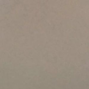 Meet your Posher, Tayla